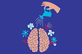 Understanding Trauma and Healing After Sexual Assault