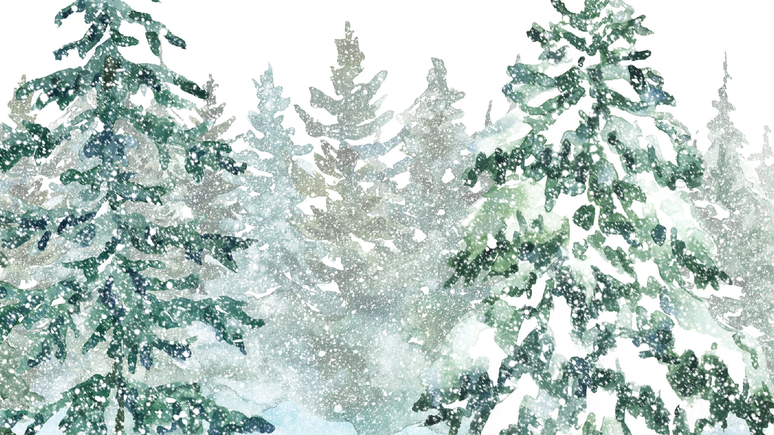 Cornell 7, Jane Doe(s), & You: Winter is coming.